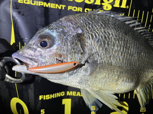 NZ3wxpBDdywjYW89hrGzwu_24xJrtr79jzm-_pZ0wXTmzjDM6mgmEAWfX9bmjIuO4as-wBvajZrGskws5X_mt2cQ5kgDN0QvZ69Z3UGS0StPA7wMbQNFPbN9zfqVD1fqkpngZXezwyv0UN-p8nCI8Q==