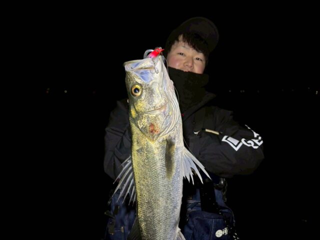 -XJ2UW32jsEYzPl2l2QqXXfPlJ6ClqcBhjH2HWgnK73PTvfTcSehIzf4KSDrFb0Afk04daXmiW8B9tzF_bgI9YfCPlMkWkFcWJk8BO5FFTnkxC14QGGKrL-qQsLcyKdVz-l8wzGQwHLkU5ioxg2GJw==