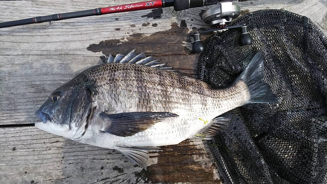 a34d0286-1474-412e-9cd5-73f609bf622e_S