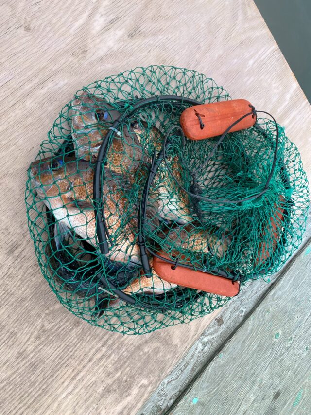 line_oa_chat_250403_102151