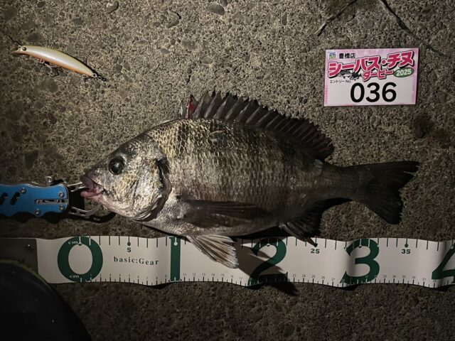 line_oa_chat_250406_194621