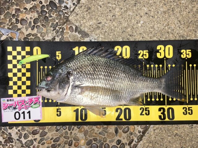 line_oa_chat_250406_194637