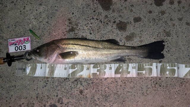 line_oa_chat_250406_194703