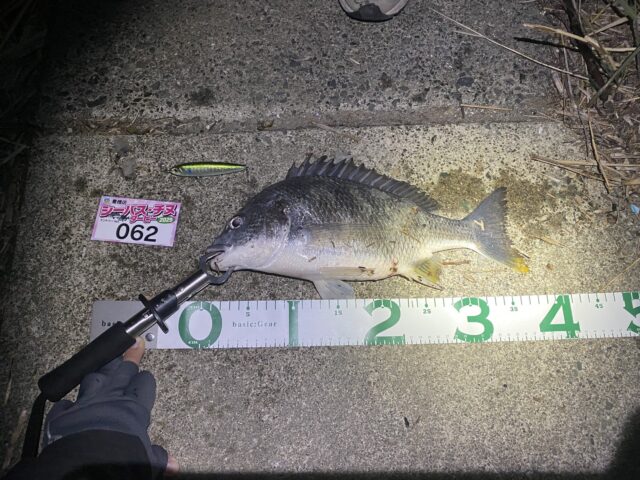 line_oa_chat_250406_194723