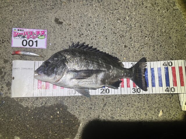 line_oa_chat_250412_183021