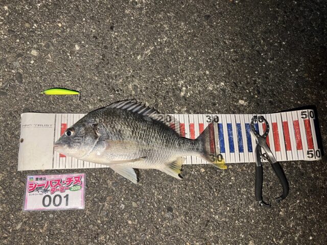 line_oa_chat_250412_183024