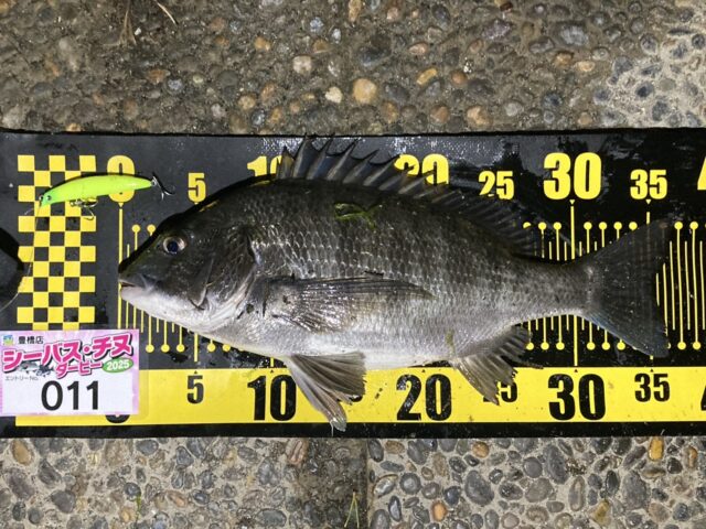 line_oa_chat_250412_183041