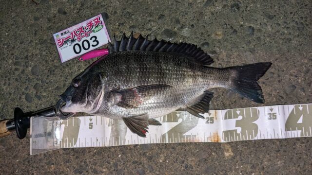 line_oa_chat_250412_183100