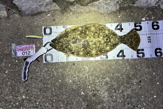 line_oa_chat_250412_183119