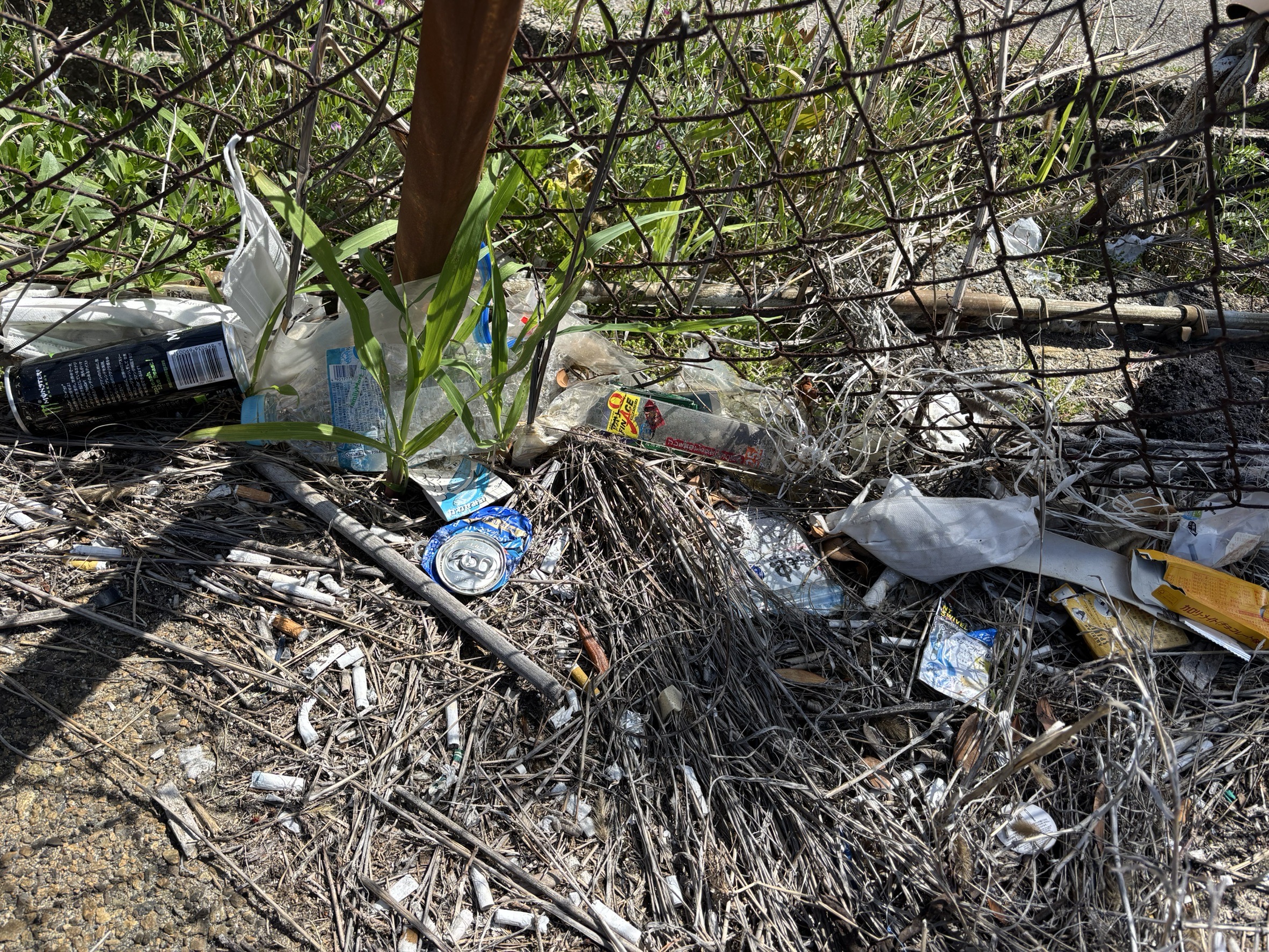 line_oa_chat_250421_123426