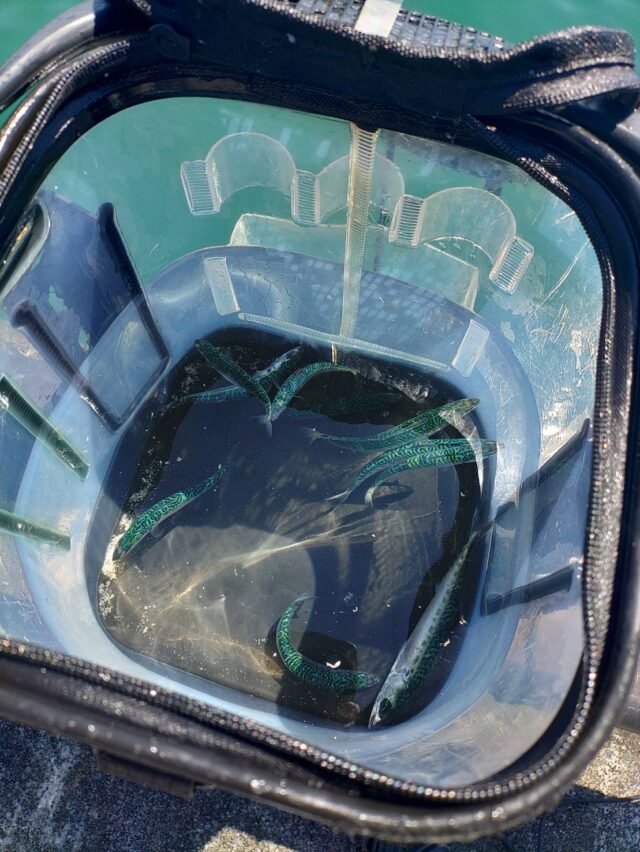 line_oa_chat_250429_114159