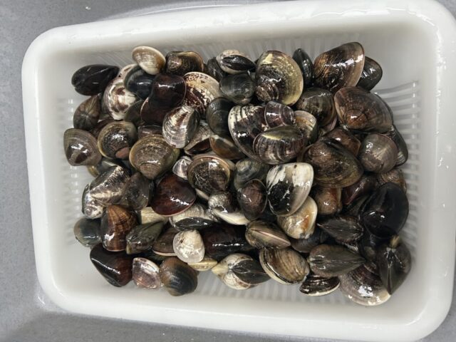 p8wgi0gwCLvsfkqbR5llUOQtrAt0314gFAiDQNXe867PrBfp2W7Xz3ZByuqQ52lF0g5KLjWLC0Gc_AQHO-Khi6EYeTHZJpvk0sfefPp2MFrUrsHyx3nQ1haNWqxtlFAEOObrIXWDvj3wvVZWXR7TOg-640x480