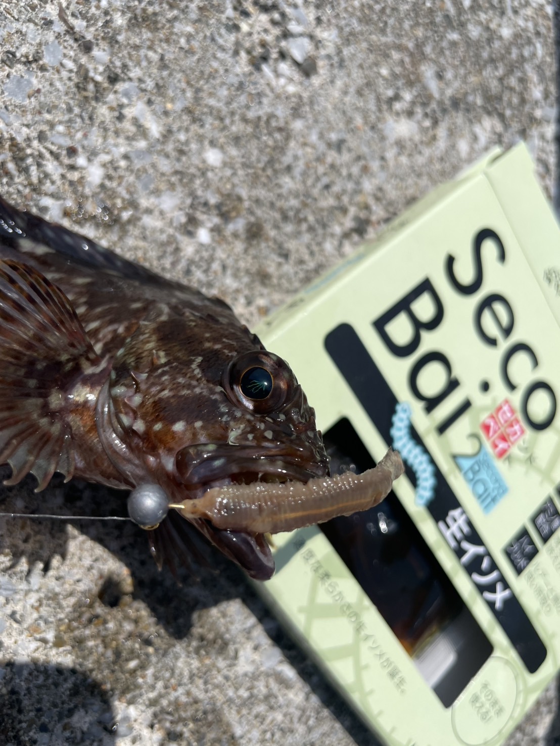 v0kwRZx6HU5sF6oGCoSh0Z3MWIh0Td_XmmW92pU702paj5qoDZiYKUuTMS5vI3i-1Tl5-x_NMNumAt9oErhDuv6BivQpfarYCmGVkQ8sL9Gw0ilWW_rG9FSWWlD_nKt9QQq1-WG3eFy_I7uXKcbEYg==