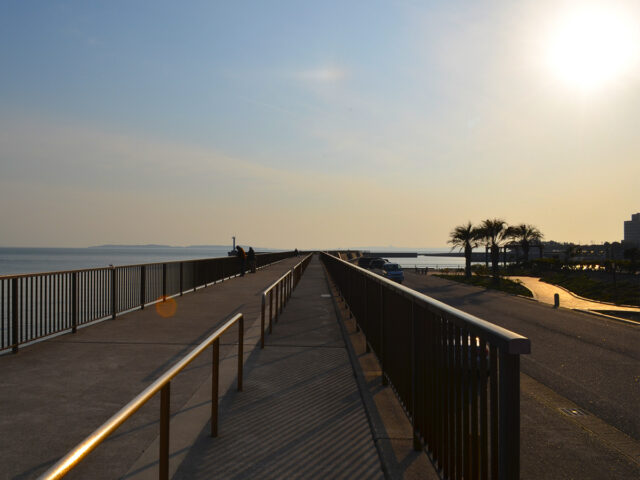 10698d309c94c6bb6c069c844fb32209