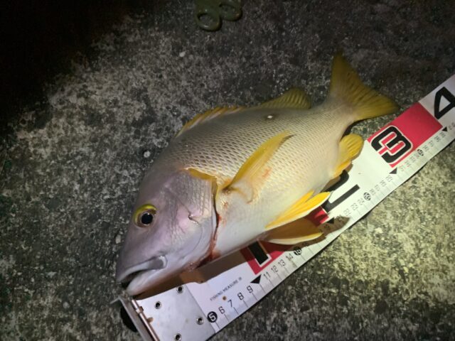 11AF1C50-BC8A-4425-954A-598A96051D81-640x480 (1)