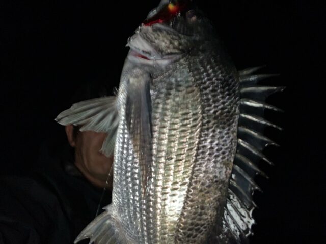 3L1JlNwQJgRuZnZcoMRdCZRPOOGoNjnkDnR4lr_9dN2iNtY7hMWD6oN_ZgBM7fZRz9lLn0x360O4zRPzpmF8KQ9Qvrp0FHyhAhMxsLp_PHQWDLhKntFg1TuOSD_2feBKOObrIXWDvj3wvVZWXR7TOg==