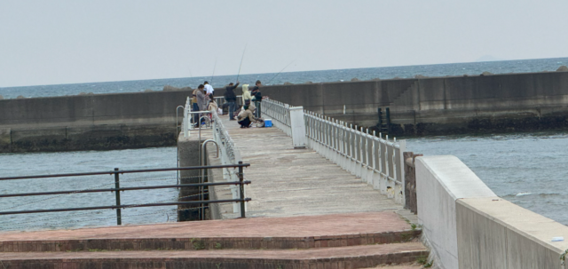 スクリーンショット 2025-05-25 123725