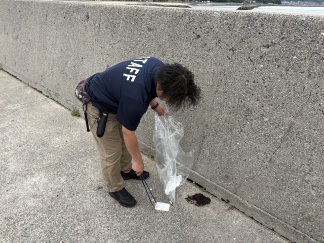 Ed9ZUnJxZXQtKjrsnbiq4Jn07Iv6uujOnY0a-kwSy9Bq45ltDi8RPRUOQhRGXiGWaABqAq34Y7PXd3-_vpFb1QqzxMIun6Jls0Tz3EG_D5-CUHACqyBLOQHN0sOr7vv-QQq1-WG3eFy_I7uXKcbEYg==