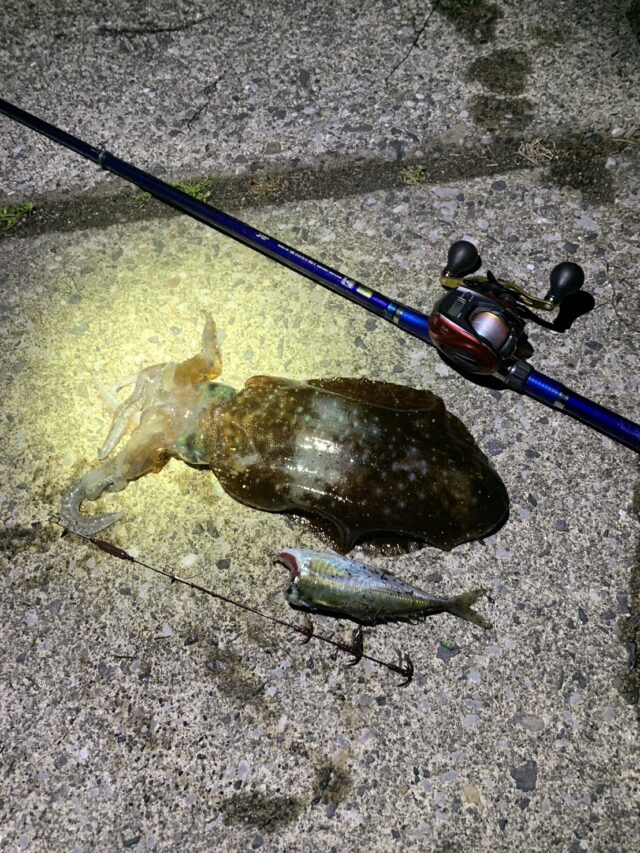 Ht9H5mP46KyaaZCeBKSjKyOgAsBLHLTH7oXK1p_N5oPODuDizV2h840Y6X2qrbxug0a3Up_5G-0Xa6QPDEIgqX2DK-CECmfo5HtjPFJ-u2v0klOf8oSnqxfLd-B_1e5b-Y6RmCFYWj9R9NUu3GhWkQ==