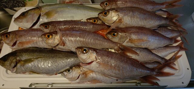 KIMG20250530_105126924~2