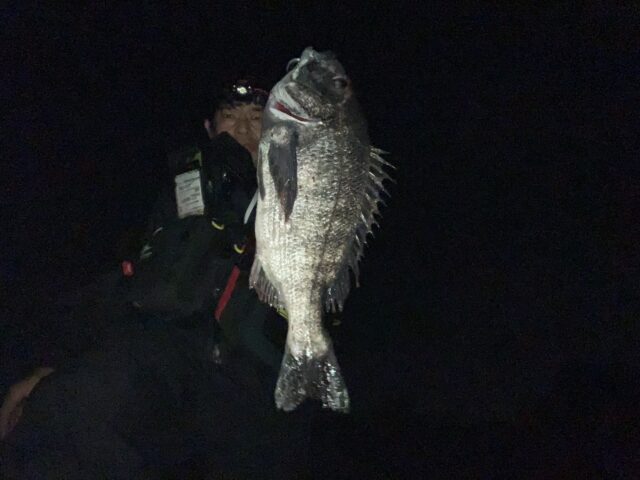 LzOLZtqPYibpp20Z6L8_u8Yia8t9q89SoTVzSBVwEnRXDtr5Moz4FS1Se50l5_L6S3sQIi_LwfmQx_m5WXRYTW8P-5zJfCaI1cwijS9kYdAlYyIoETZorqvzTLkxtVMJxjd32DvNFM_jZ_FnFQeU0g==