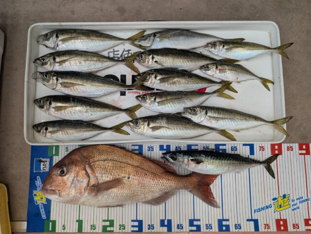 PXL_20250506_060820528.MP