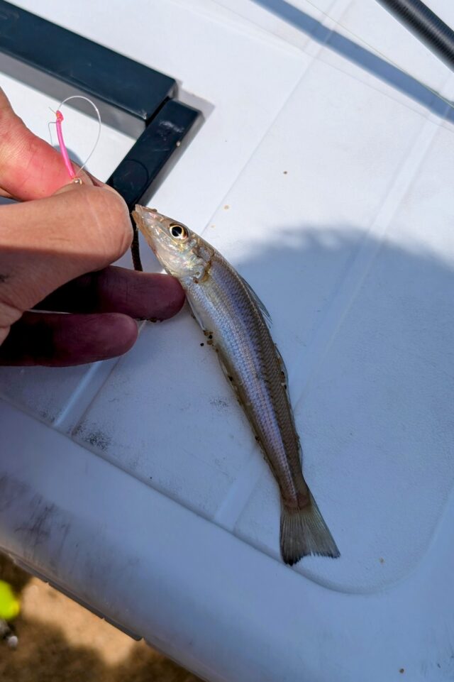 PXL_20250511_011551962~2