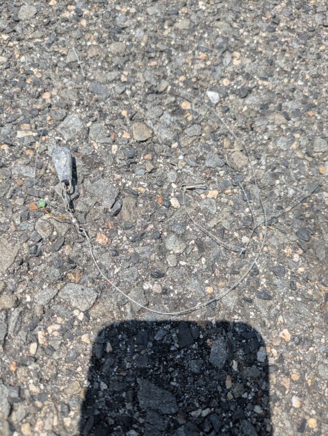 PXL_20250513_030539581.MP