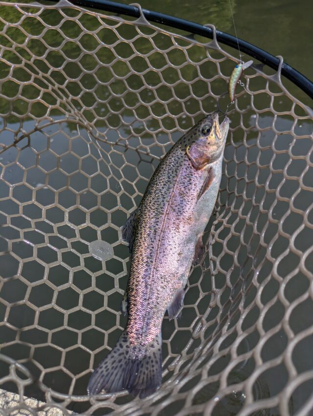 PXL_20250514_004239819.MP