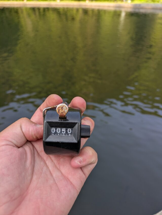 PXL_20250514_080158203