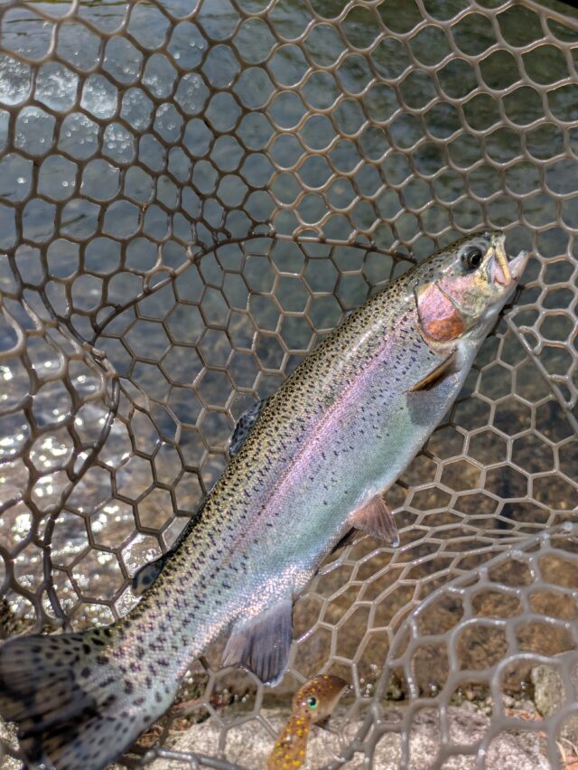 PXL_20250520_010149769