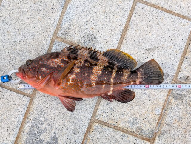 PXL_20250530_234503479