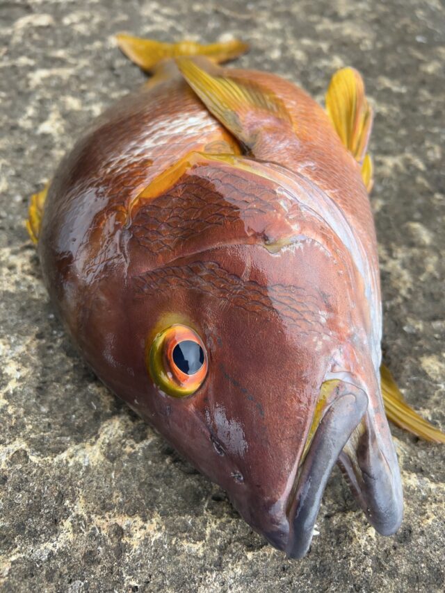 ReC_YTYzCSVI2jiE354jn0TYYLOKlgKDq0DHM7WkC57EHGHf3R3XpxSxppLQgn9-62EliWIpwfGRlAEt2gtu4X2eoSs9f9oYu5tvNchBD780uG-MpRrUssl8tYSYY9qN-Y6RmCFYWj9R9NUu3GhWkQ==