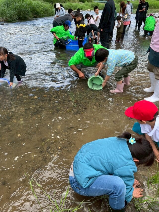 SpSjPo7pkMOF7eeQ_VUBSuYAbQwumvObEbJc8_aB8kk8CG66_OVo74rYwToi-IvND08HuLCN43b9G3yncEhG0YaRIRt1Ay7rTziG5oYyZk6kv8CuRgUKjavl5gebUAk1Q0mGTKiMiK02azDH-NEk1Q==