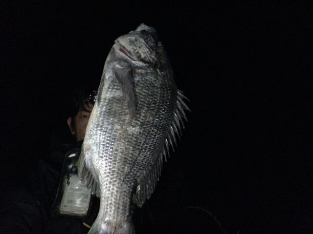 Tfw0WqMUTlAat0paEMkaauqycVVexdtJ9gb_WDgdatPqb2UUJFv9dck7MLY2qOmbhHYLwKdtOwJHfqyGLycVm3d9dMHlRxEjz34YkA6bvNI_ojEeITWJ-VRPxwnzlaLhQ0mGTKiMiK02azDH-NEk1Q==