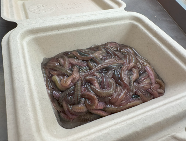 スクリーンショット 2025-05-25 123536