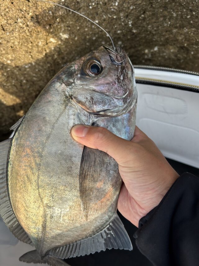 gmudeeJYNoHOzLuLvxxOKg-EYRvDA0lXoGOXZ9MyXp1g4NLD1iM4nXOgYXwoku79MeY6VawA6hMjro-XpvwcgiiDVJDJpJmH-IkIPQt2XL6CeABaeqp5no2pubfxDNlYyoEYSNdl5TIBu65cFcBv0A==