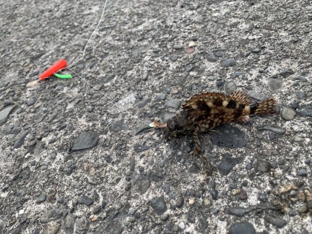 line_oa_chat_250503_101028