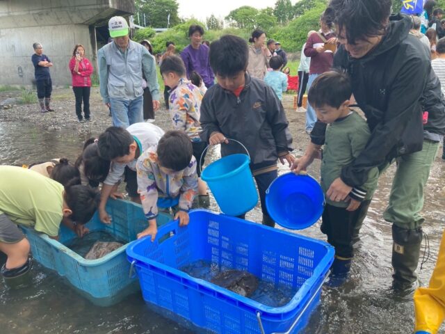 qMWJcicTGyEEzO94Irs4NMxiuybeOAm5Y8EbsLjT15MEWP3XqWX-m0yOhnmPshHjb7Fv_CVyo1pFGbtsZG0IXPB9B8BMwH977YX5mM8cuOOwiyq2U8-_CIf0LDvZFRi8PGAWgRoNfwFFSQkqTkXAuA==