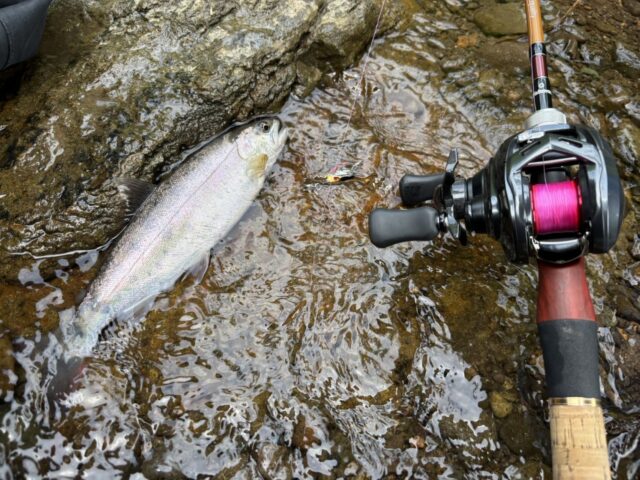 qZ2NvZ3YG_gX9YHMTEwisRVTJuX5OPiopJePO38BJYeR7PO8DC5XgS2jvohQD-8fV9aLsvlcxE-jUORchBVIP8B87U1J-rRpgYRmADUA1ieEkqRmYtC4xG5tIOM7mqsfdWH1GW1Hzzc1ZjJIrpDCnQ==