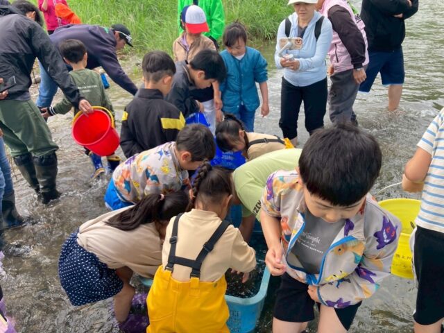 t29rFn3ashNdgsLgi-fpjP1RzdgyXxlTjsaqbQVCo77iQ2kMWeZt44kW4GOsoJD_kxN9Cm1QKcmd388y403V_M9D9mK-2ZVK-S5iT3QBRlK7H5lsm88dcz9t8vIiCwYqr6fRbKROf4YksHppMo5QDQ==