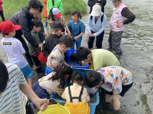 x_zVpnMLadQgwzqBF_KJxPwmKSS7_mQlR2xyTIxabb7hFZbcqPsQG_E7KFLvTA-Row84LeCpivSfEEum07HyYg58yk7WrKRjxmRILOGHWFLU5OiNBNvZTgqIyMWFfaYlz-l8wzGQwHLkU5ioxg2GJw==