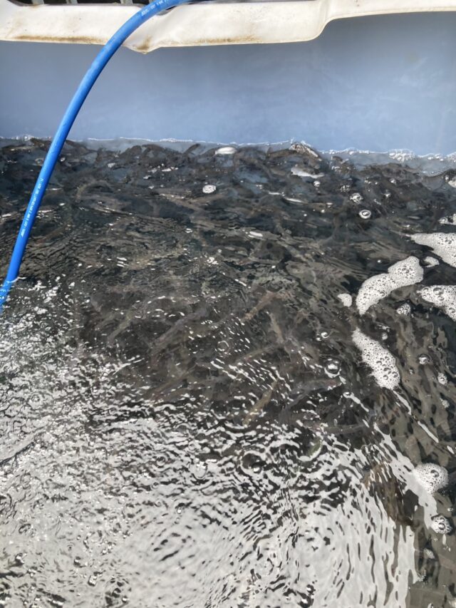 xmn_-nba4WXSde2gWp7ruUmBS_ChVxUva6b2_yC52NNcG2u73WU44Ixwc9llJVigEGOVKwxhSswsPUiuIiCi-X_K3gIAGq3S9t2sV43rGhpXLnYcahzn7bV1y8jd4HTKr6fRbKROf4YksHppMo5QDQ==