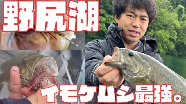 0D466EC7-248C-4C46-BC4F-2AB557A5B253