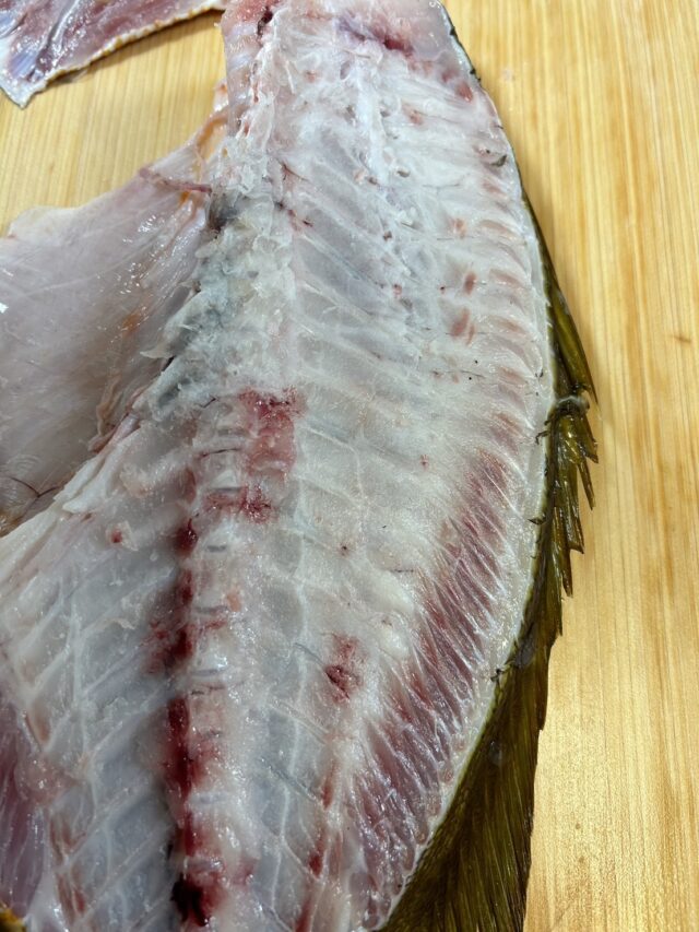 0DQu5fZ8Dp2UneGgahPL6SdbxFLD8gOqlx7ZoZRYwwCgU1jIdF9_lwO4mqN7Zk8-KyfFLHwuYbP3g3XVHeaiVOaEMRwv_sBtl6-xVK2SBhYBWylOgOGI0Eregq2t-5GUCPs1Dl06N9VAVlxHgFo47A==