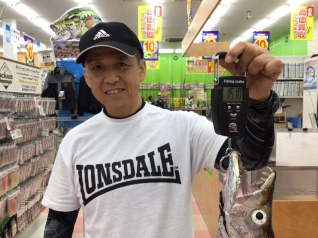 石津浜タチウオ②