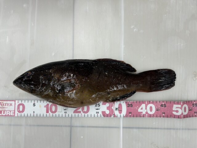 2yo0FKuzCDy9GgfHGbq8cZomII0g0R2KSi70PFcBuVAQ3LQWsfUQsamOW_JV5Q5t4BIxEgx9WStuhvoTEo80SEIb4R2BWnNcX9aWHLz-hfNktlc1OBejwac1h9rh_SV5Q0mGTKiMiK02azDH-NEk1Q==