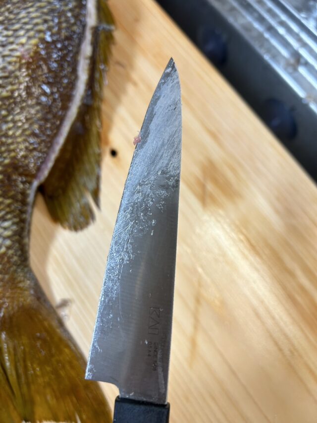 4zCri359j_IWKyaeO-2L9-WYPeFTWdBb5SGyhMKqdsmhbvWvZIKqOYSRikPNkNnklmFpYYSriRgbQ8hV4bAxPncip-_odVux3S1nzyDXWSOLyizTxfGUQ_Lyw6mNWz7EkpngZXezwyv0UN-p8nCI8Q==