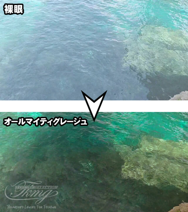 オールマイティグレージュ2