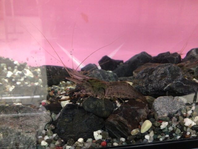 A966FB51-E3A0-4965-B1A4-88FE6C9F084C